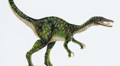 Брзината на движење диносаурусите